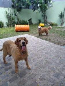 WhatsApp Image 2021-12-06 at 15.37.37